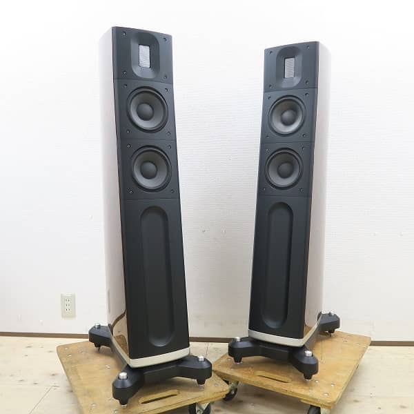 Raidho Acoustics D2 Speaker7